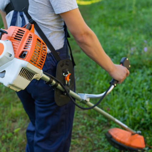 Jardinería y Exterior – Equipos para el cuidado de tu jardín